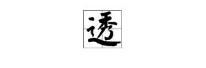 透字4字组词