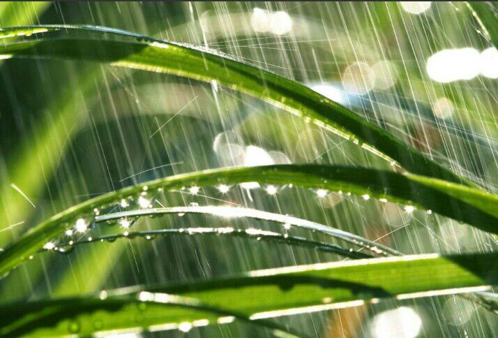 听雨.现代诗歌