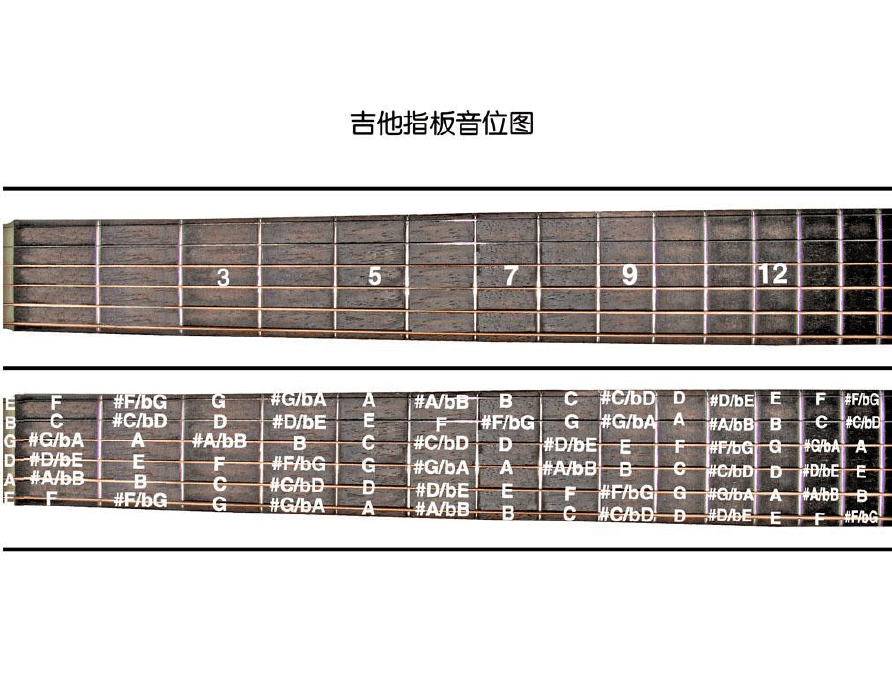 吉他裏的品是什麼意思