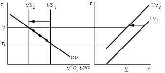 ms是什么意思经济学上