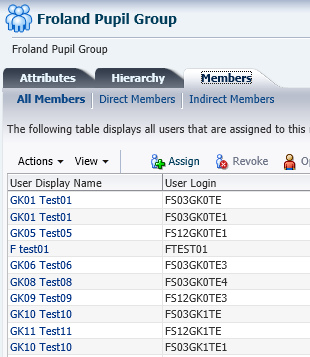 oracle 11g是什么意思