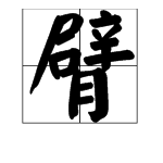 卷的多音字組詞語