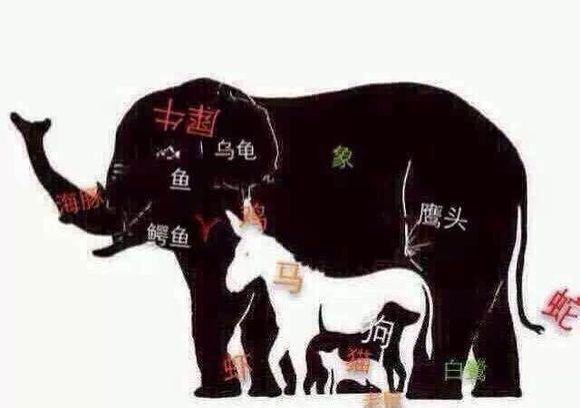 識字打一動物