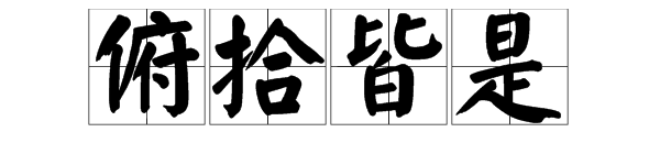 帶什麼八什麼人的成語