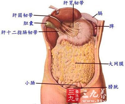 闌尾炎性改變啥意思