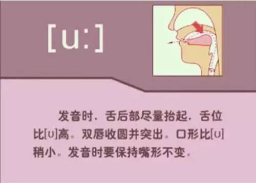 ju'zhu的近義詞