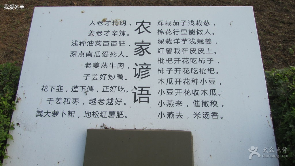 關於吃黃瓜的諺語