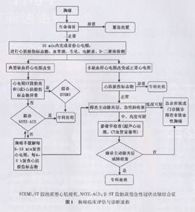 腎動脈亢進是什麼意思