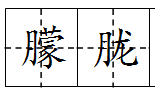 什麼的水霧填詞語