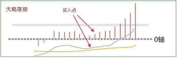 股票60m是什么意思