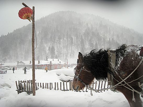 跟風雪有關的成語