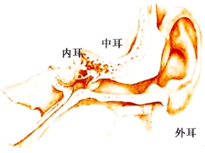 什麼耳朵組詞語