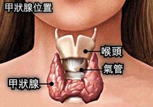 tl/rads4b類是什麼意思