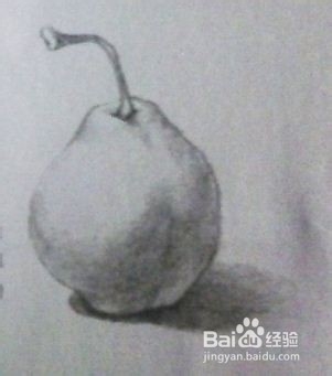 素描寫實梨子