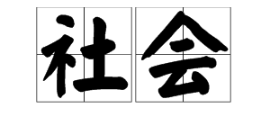 網絡詞語社會意思