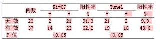 ki-67 25%是什麼意思