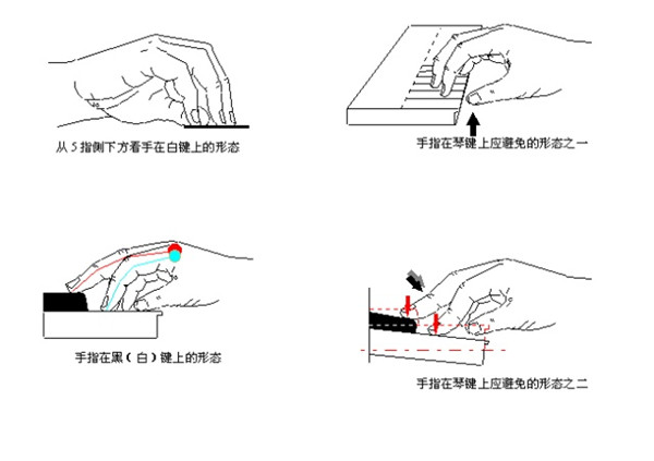 弹钢琴的手动作描写