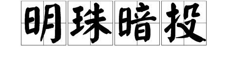 什麼什麼暗珠打一成語