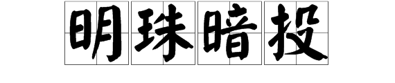 什麼什麼暗珠打一成語