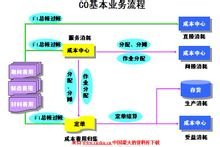 sap是什麼意思啊