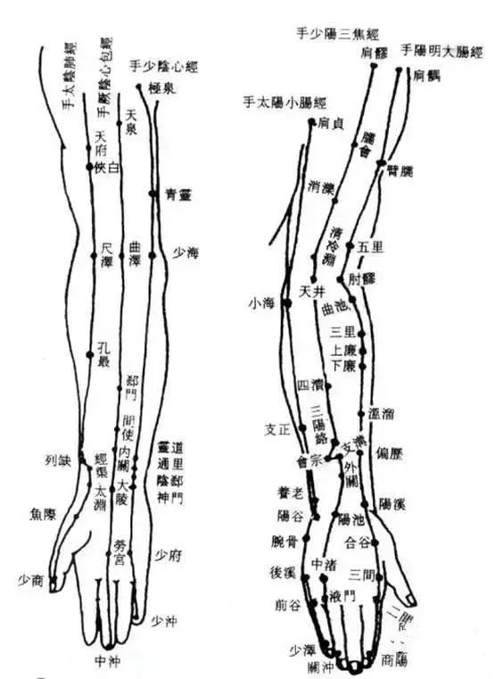 手臂上的六条经络都有减肥的功能.