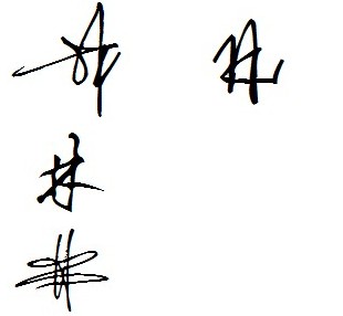 林字的艺术签名怎么写公文签/商务签? 叶大师签名? 仿徐静蕾签名?