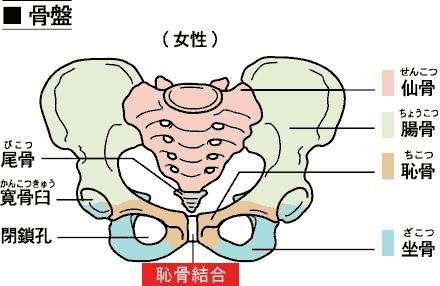 怀孕最要命的耻骨痛, 男人根本无法体会!