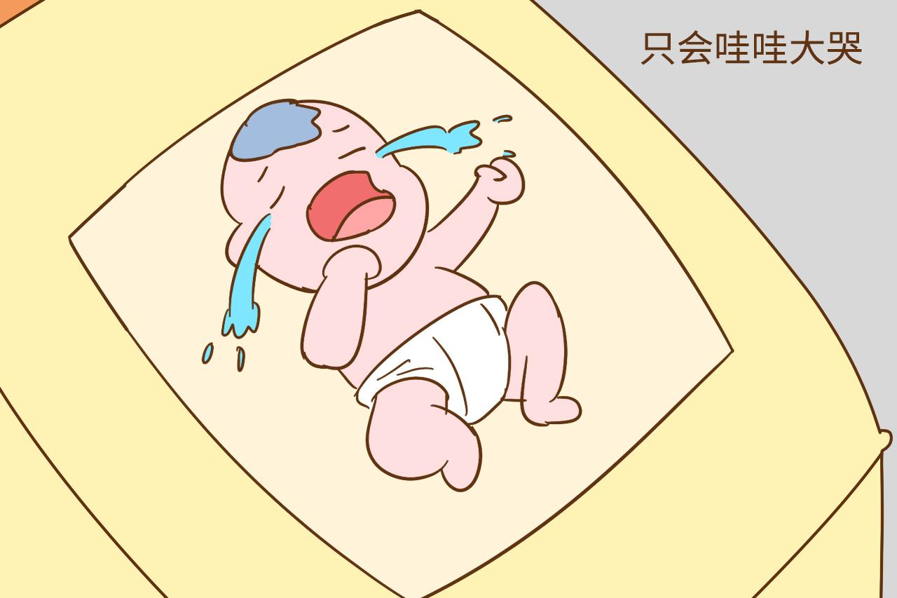 哭泣宝宝动画片图片